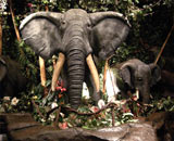 Elephants at the Niagara Falls Rainforest Cafe