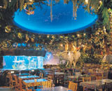 Rainforest Cafe Restaurant Dining