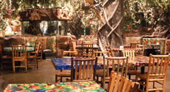 inside the Rainforest Cafe Niagara Falls Theme Restaurant