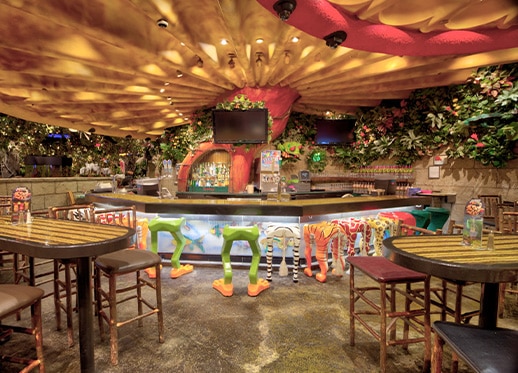 Dine-in Experience at Rainforest Cafe Niagara Falls