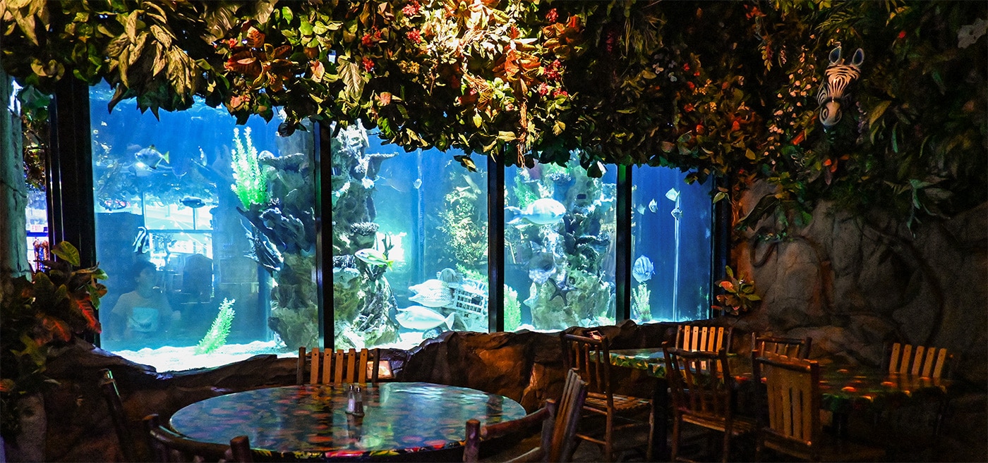 Fish tank at Rainforest Cafe Niagara Falls